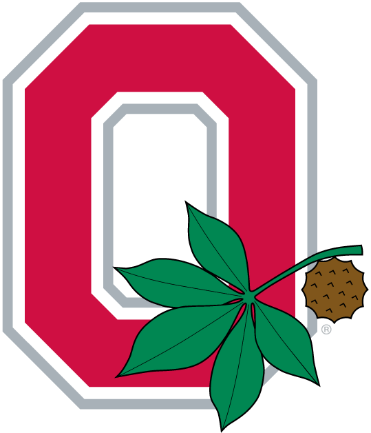 Ohio State Buckeyes 1968-Pres Alternate Logo t shirts DIY iron ons v2